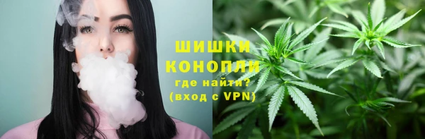прущие крисы Алзамай