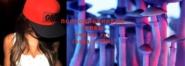 прущие крисы Алзамай