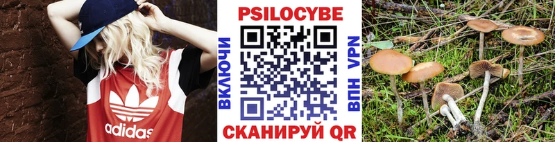 цены наркотик  Медынь  Галлюциногенные грибы Psilocybe 